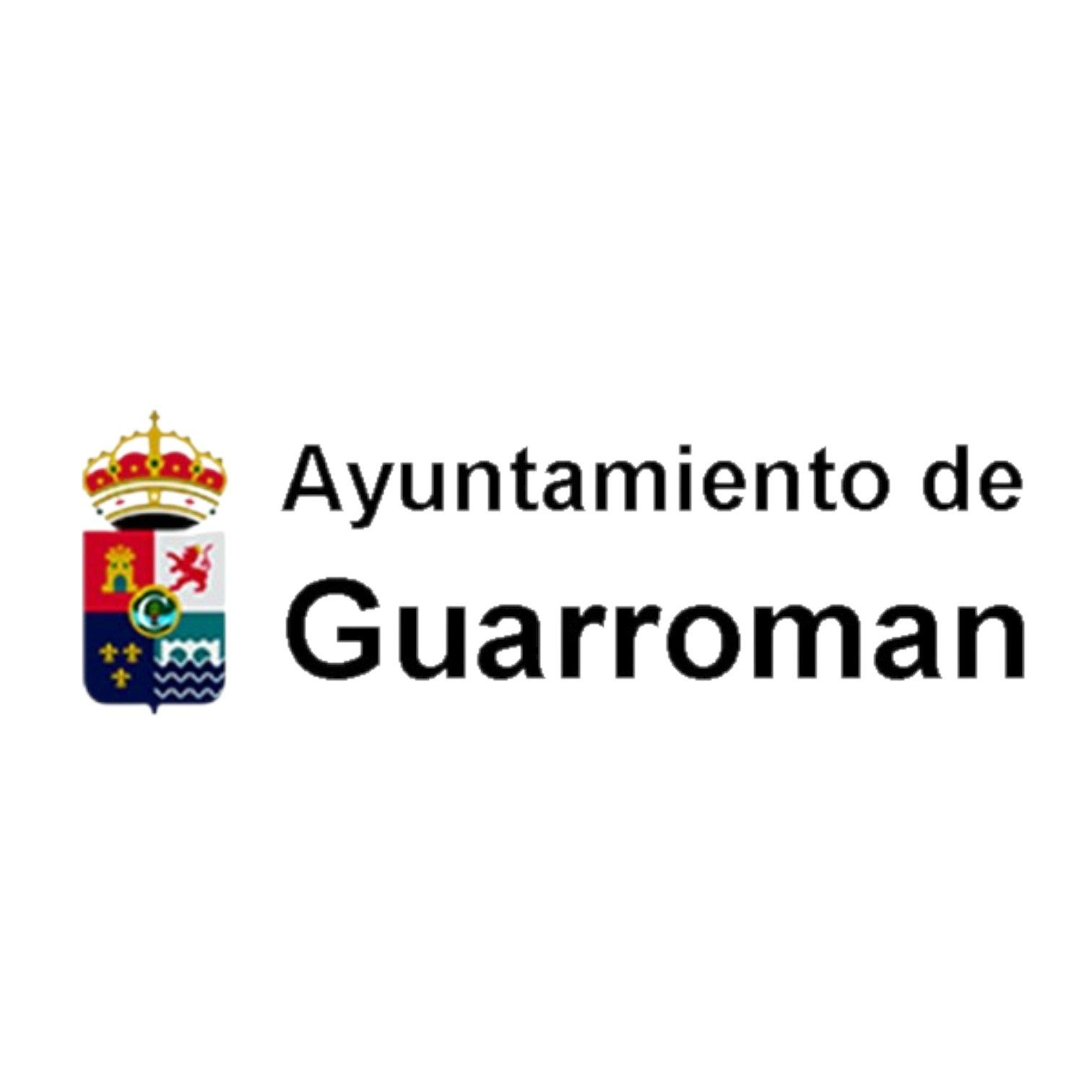 Dirección de Obra de las Instalaciones Fotovoltaicas en Edificios Municipales